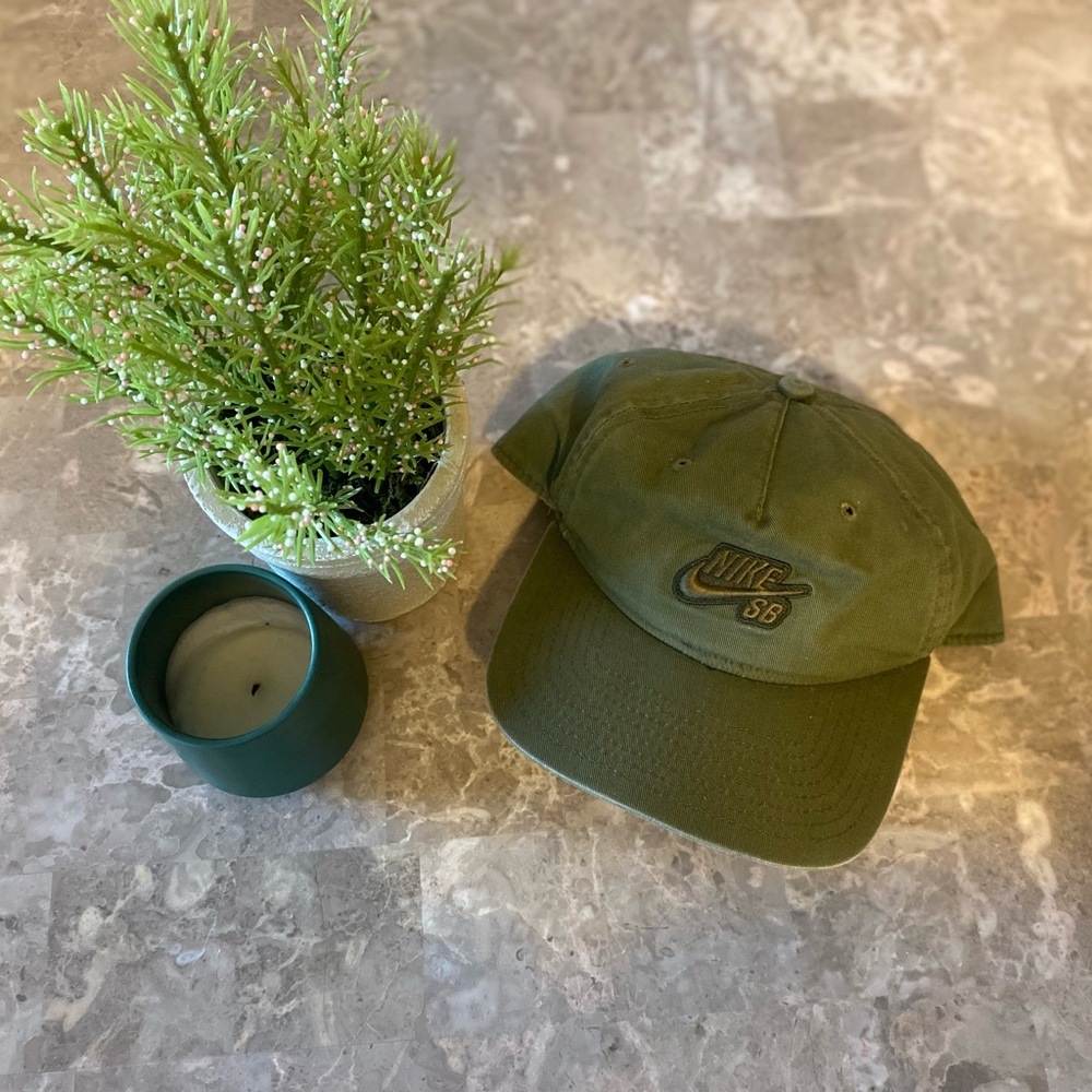 Nike SB hat